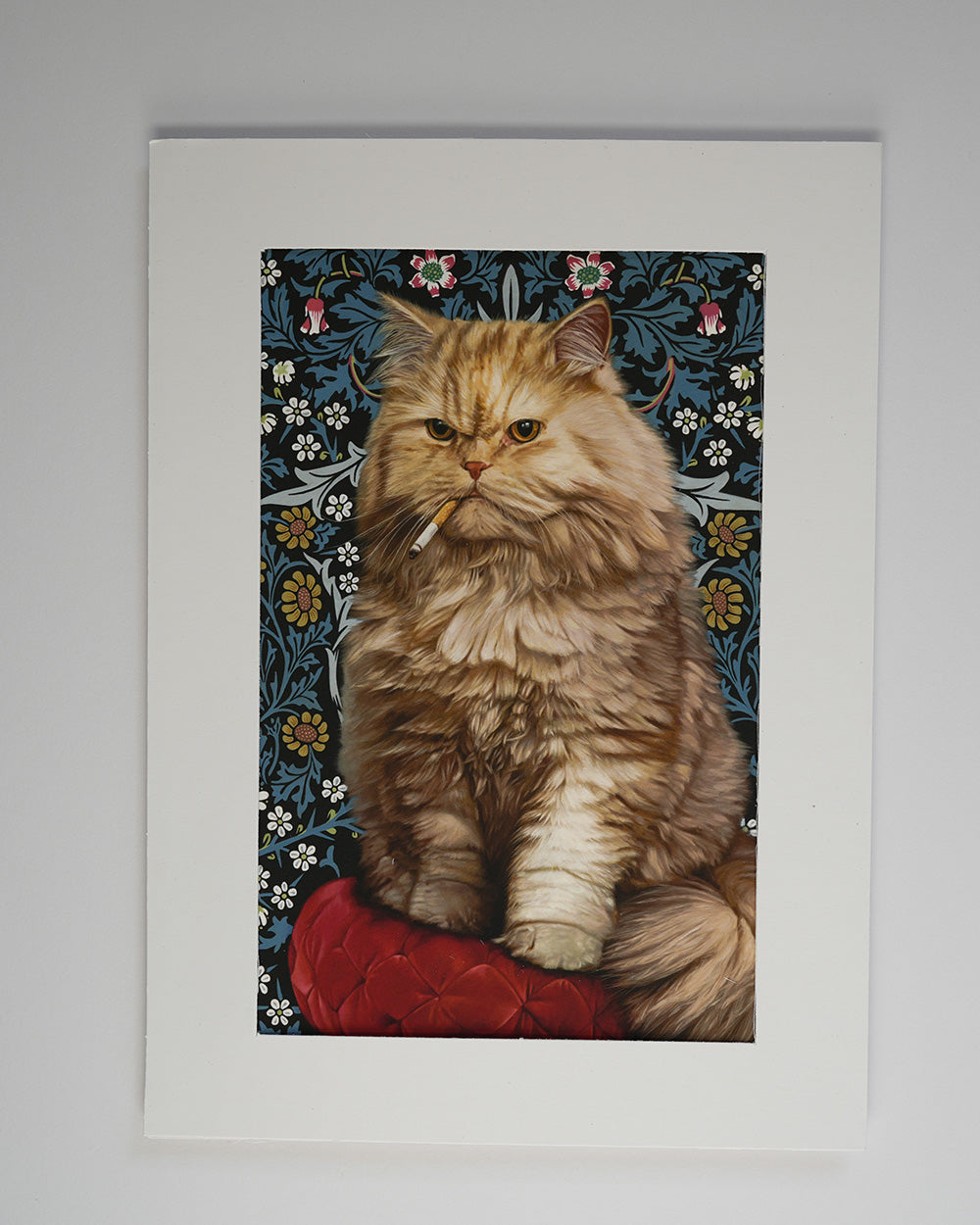 Death Cab for Kitty Greeting Card