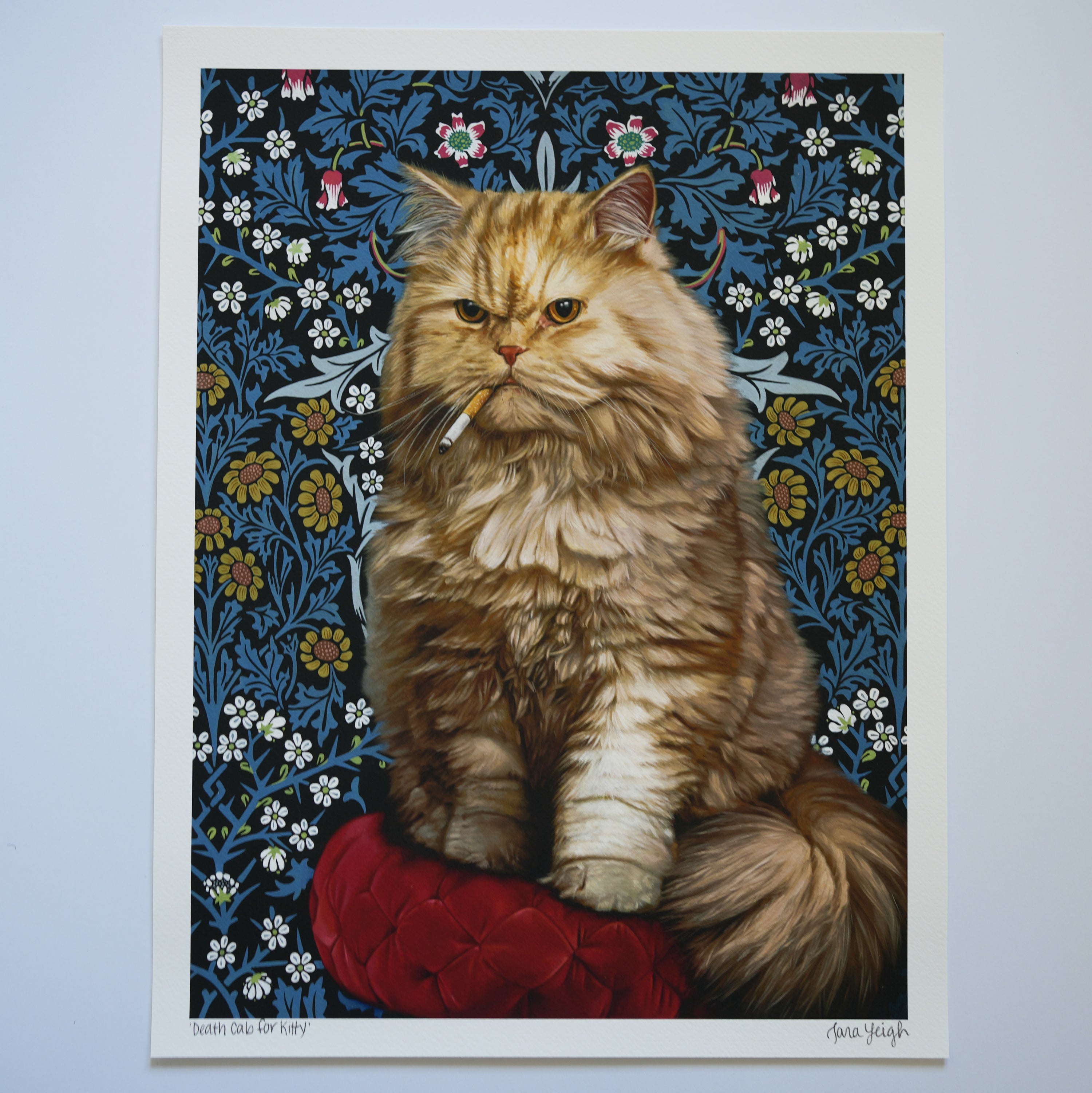 Death Cab for Kitty Fine Art Print