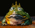 Kiss Me toad prince greeting card