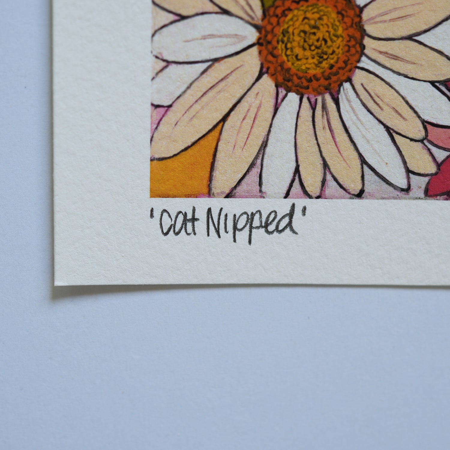 Cat Nipped Fine Art Print