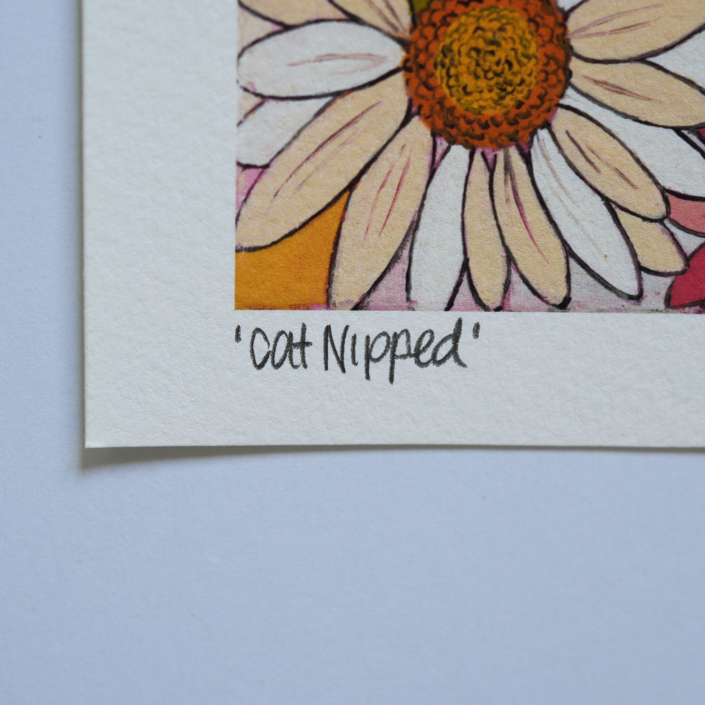 Cat Nipped Fine Art Print