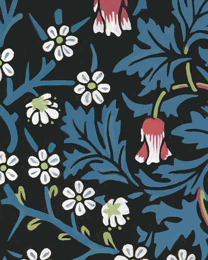 Death Cab for Kitty Fine Art Print