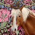 I Wanna be a Cowboy horse greeting card